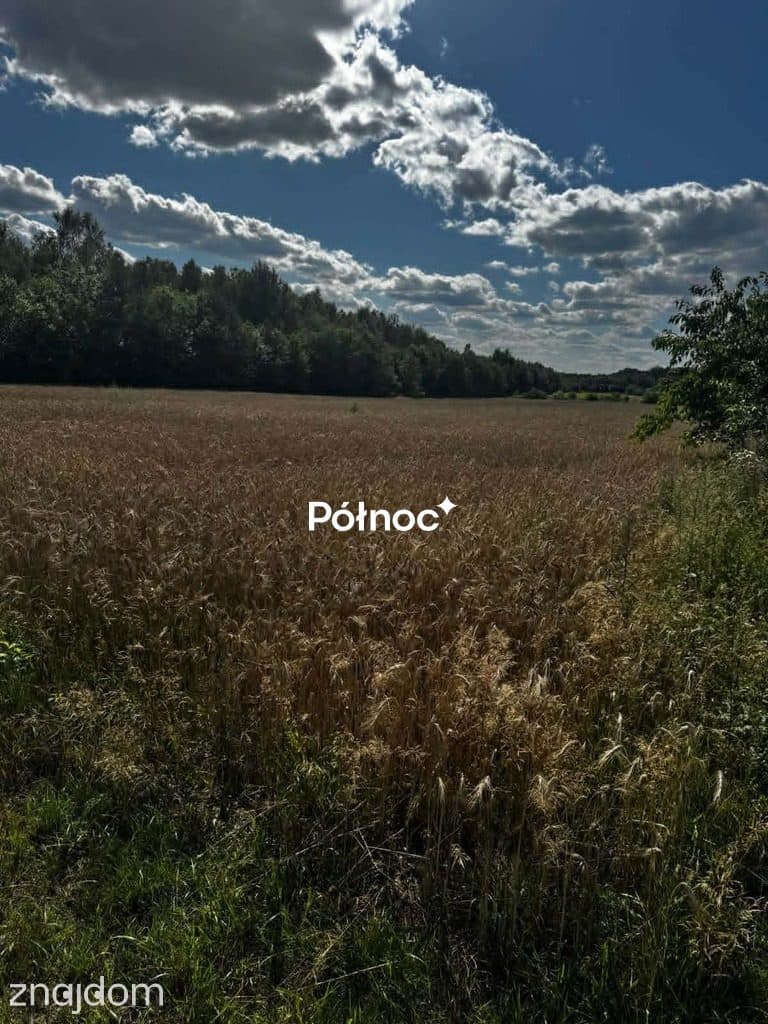 Piękna działka pod zabudowę. Bedlno gmina Końskie. - zdjęcie 5