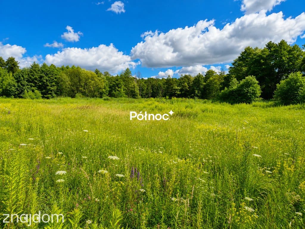 Smukała | Działki z WZ pod 8 domów - zdjęcie 3