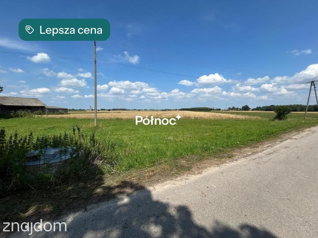 Działka 4800m² | MPZP | Kotłówka gm. Żelechów - zdjęcie 5