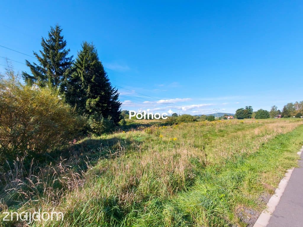 Duży TEREN 1,86ha - 3 działki MPZP - MN - zdjęcie 9