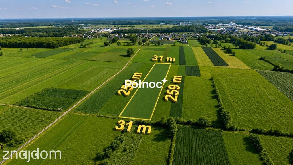 Łąka 8000m2 w  Małaszewiczach Dużych - zdjęcie 2