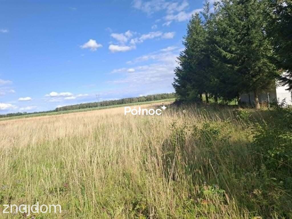 Działka zagrodowa gm. Poświętne - zdjęcie 2