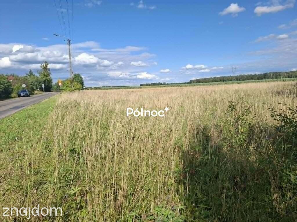 Działka zagrodowa gm. Poświętne - zdjęcie 4