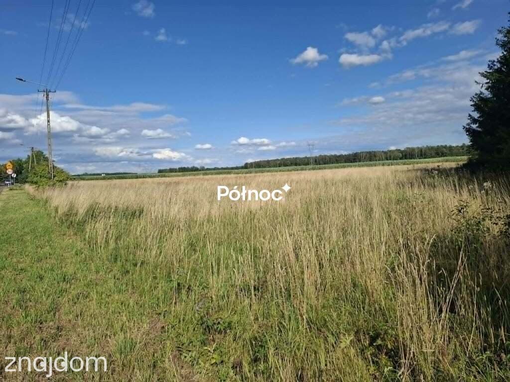 Działka zagrodowa gm. Poświętne - zdjęcie 5