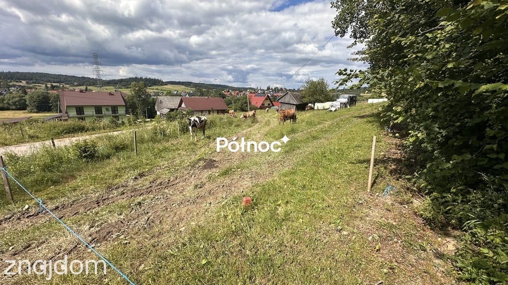 Działki budowlano-rolne | Podwilk | 24 ar - zdjęcie 2