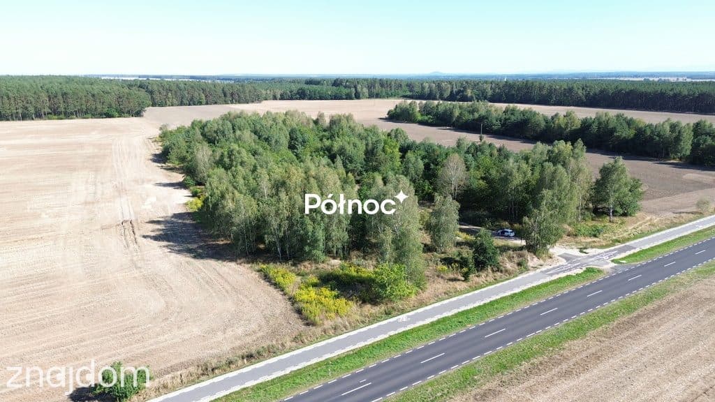 Teren usługowy 3,38 ha -A4 i A18 Bolesławiec - zdjęcie 6
