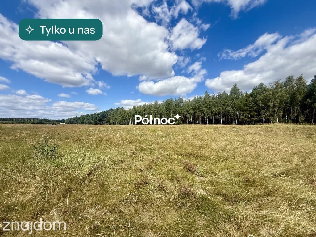 Działka przy lesie, Trzęsów