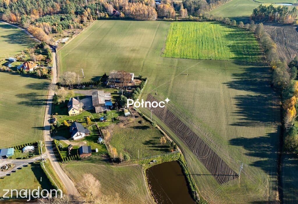 Ciekawa działka - Lisewiec - zdjęcie 5