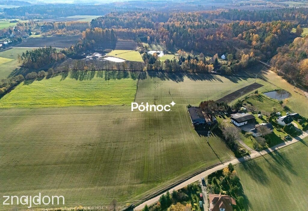 Ciekawa działka - Lisewiec - zdjęcie 6
