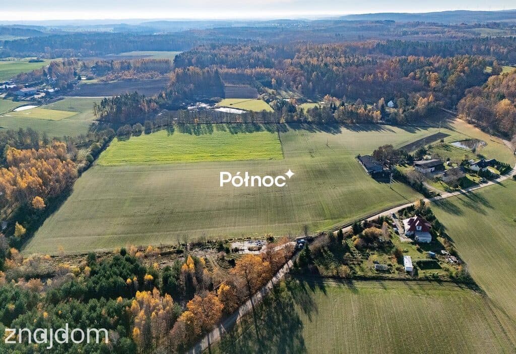 Ciekawa działka - Lisewiec - zdjęcie 7