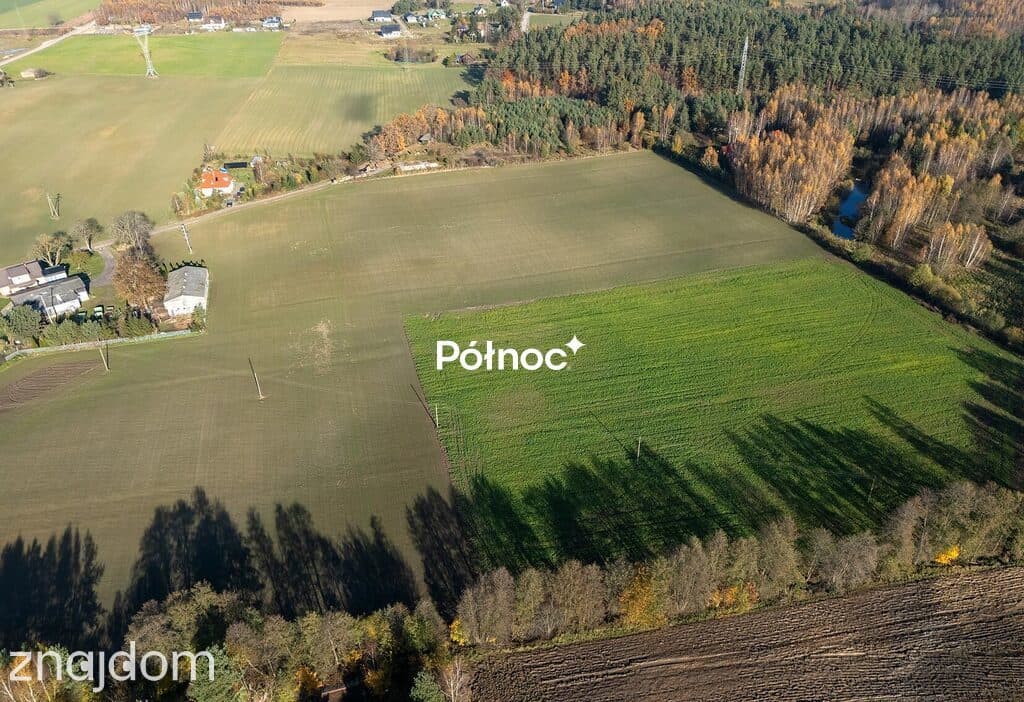 Ciekawa działka - Lisewiec - zdjęcie 8