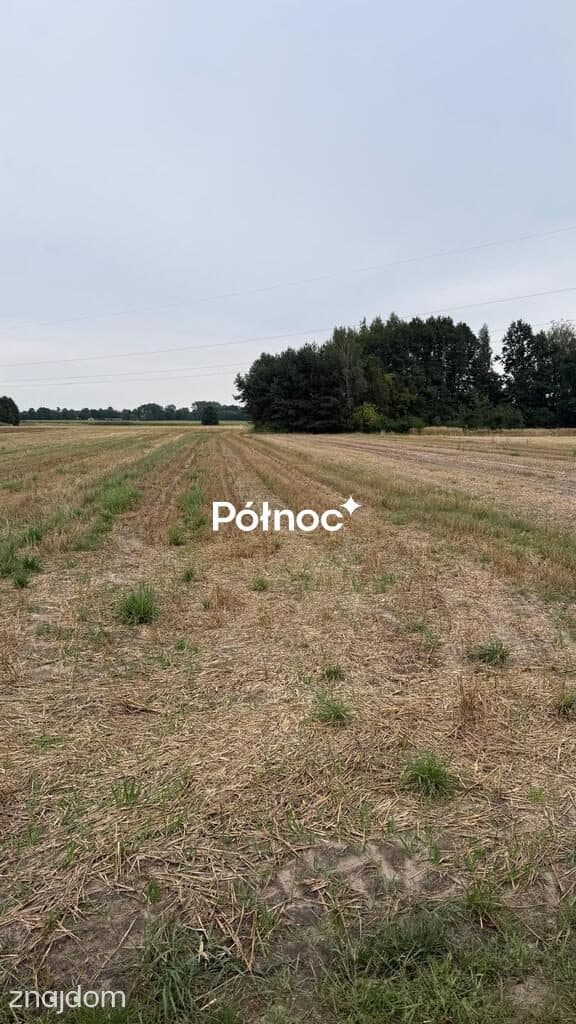 Działki budowlane na sprzedaż–Barczew, gm.Brzeźnio - zdjęcie 2
