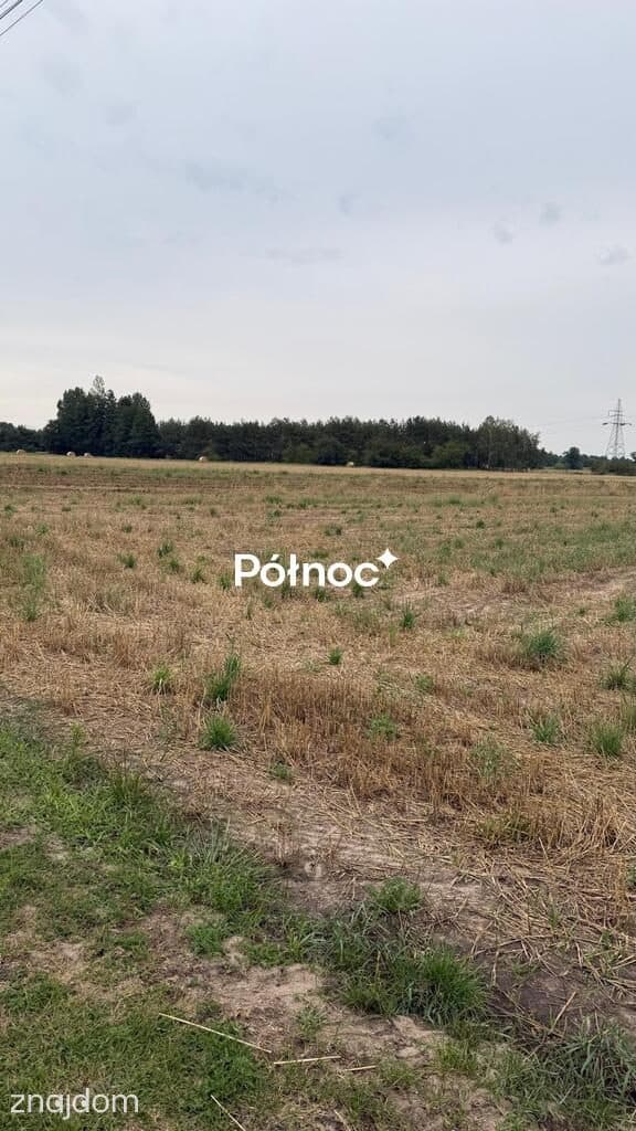 Działki budowlane na sprzedaż–Barczew, gm.Brzeźnio - zdjęcie 4