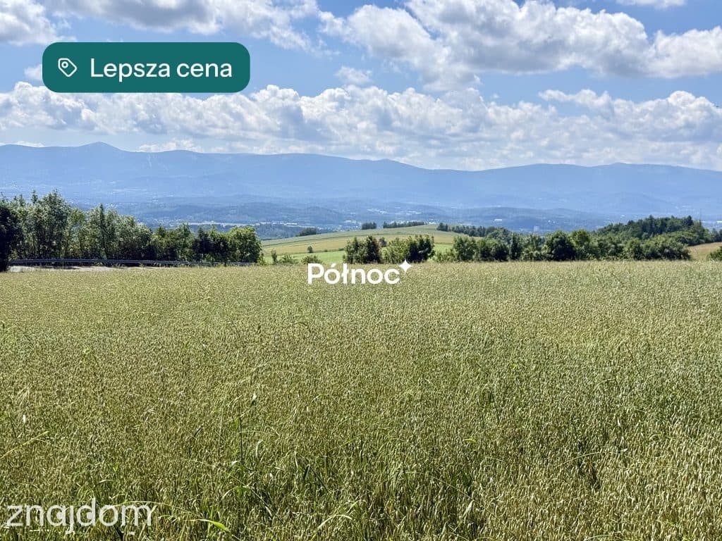OSTATNIA działka na przeł. Kapella w Dziwiszowie! - zdjęcie 3