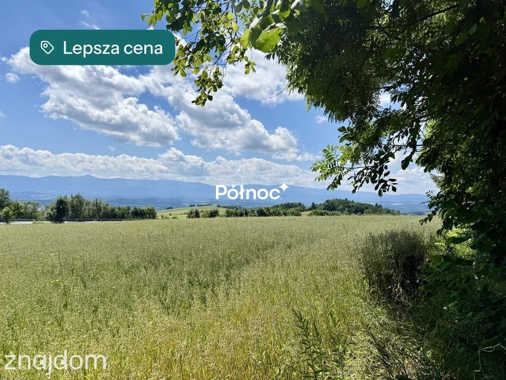 OSTATNIA działka na przeł. Kapella w Dziwiszowie! - zdjęcie 2
