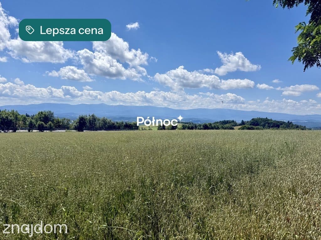 OSTATNIA działka na przeł. Kapella w Dziwiszowie! - zdjęcie 5