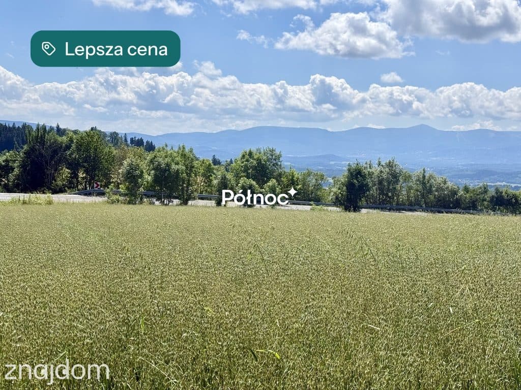 OSTATNIA działka na przeł. Kapella w Dziwiszowie! - zdjęcie 6