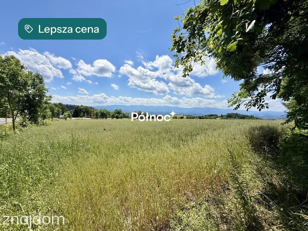 OSTATNIA działka na przeł. Kapella w Dziwiszowie! - zdjęcie 7