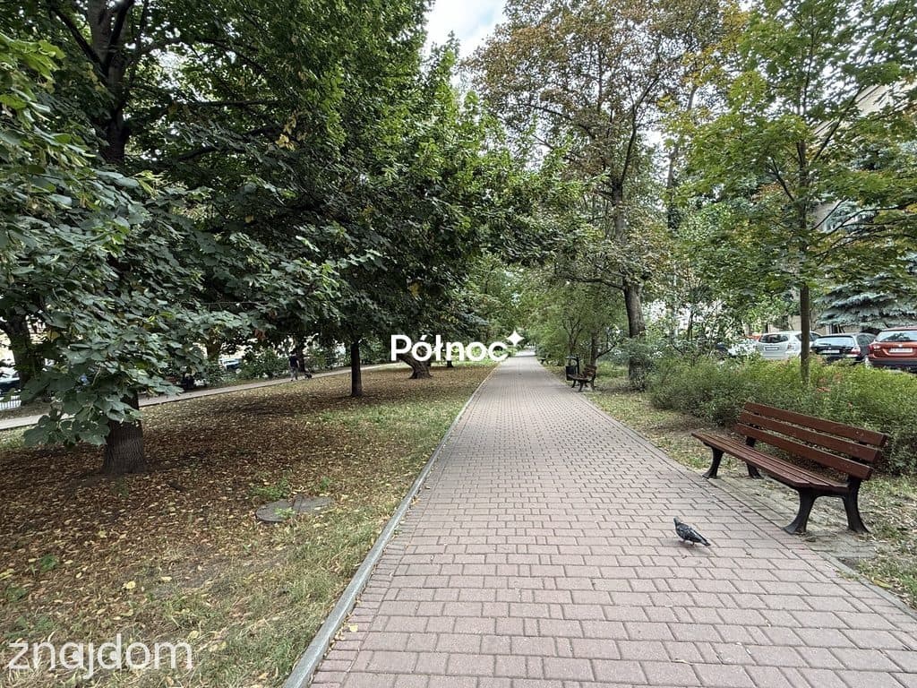 Grzegorzki - Sufity 3,9 m - Concierge - zdjęcie 7