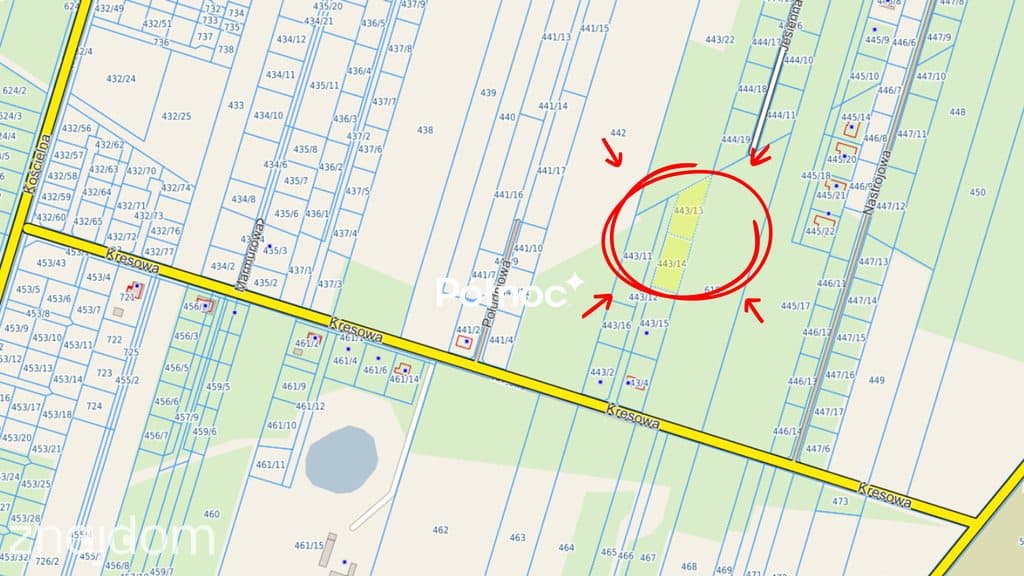 WOLA RASZTOWSKA | 1241 m² | WZ W TRAKCIE - zdjęcie 4