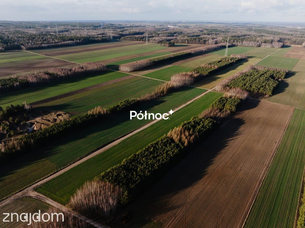 Urokliwe działki w Starych Modzelach! - zdjęcie 8
