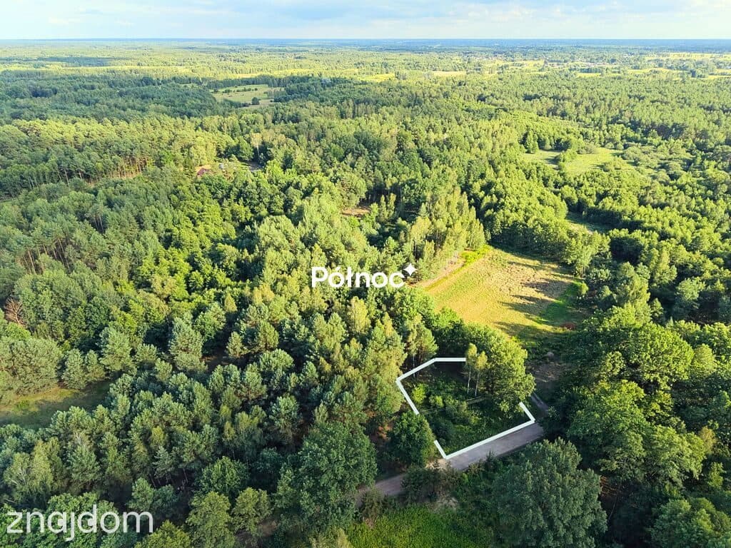 Działka w otoczeniu lasu. Jasienica gm. Tłuszcz. - zdjęcie 2