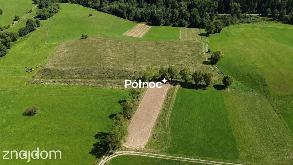 Działka budowlana 1364 m² – Falsztyn - zdjęcie 4