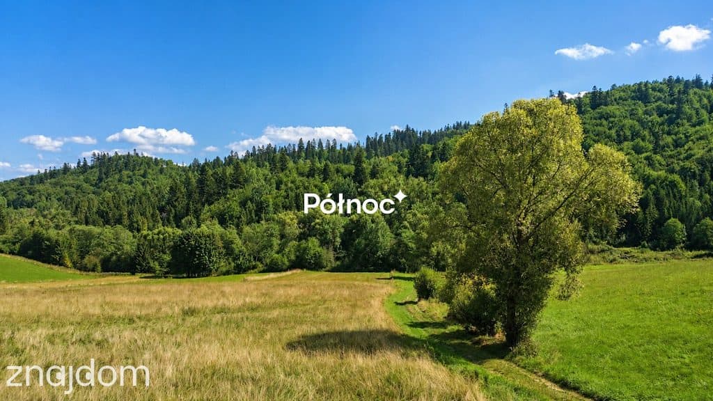 Działka budowlana 1364 m² – Falsztyn - zdjęcie 6