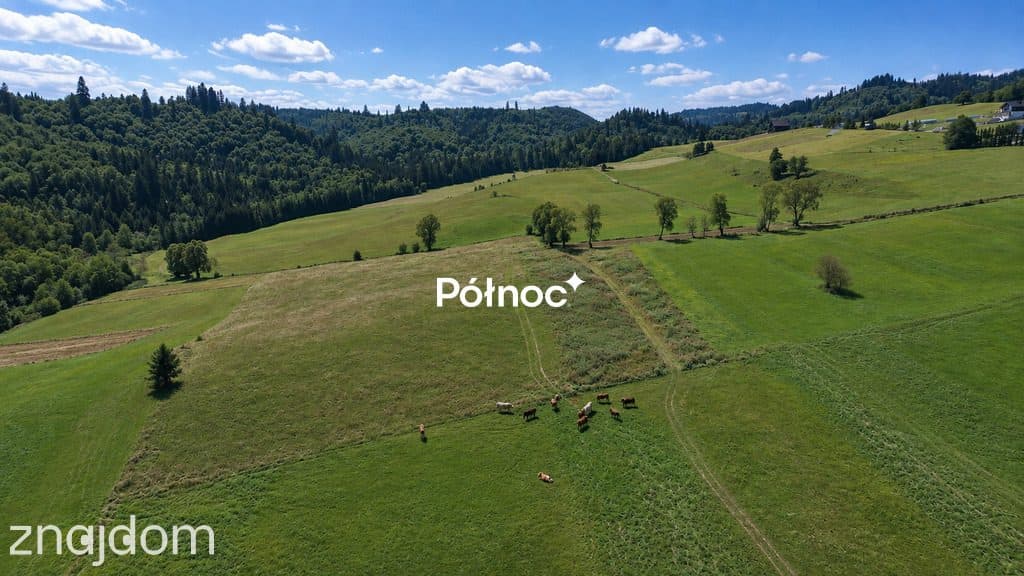 Działka budowlana 1364 m² – Falsztyn - zdjęcie 8