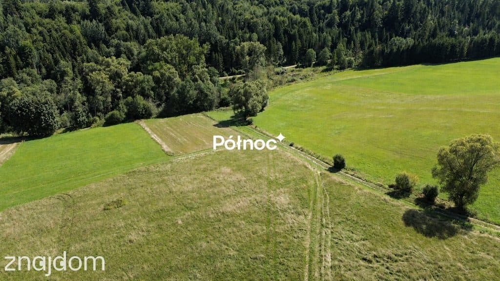 Działka budowlana 1364 m² – Falsztyn - zdjęcie 9