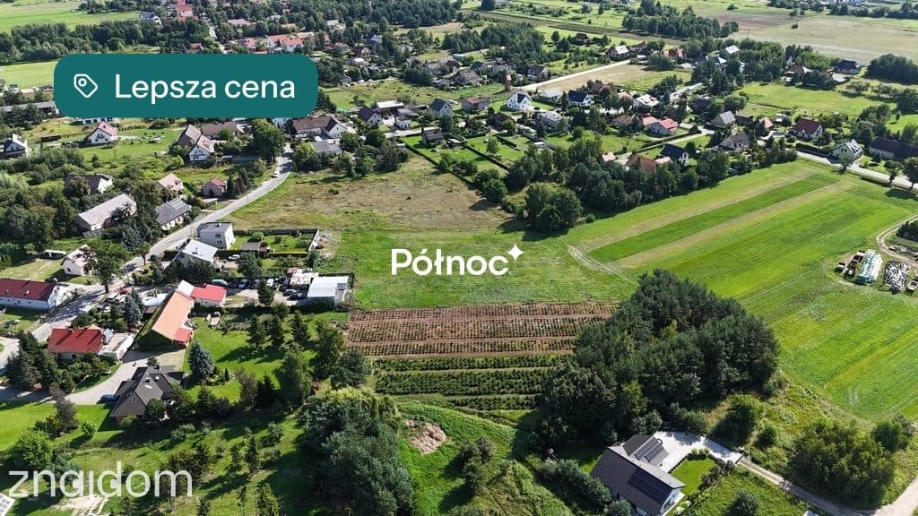 Działka budowlana 6045 m2 / Chrząstawa Mała - zdjęcie 6