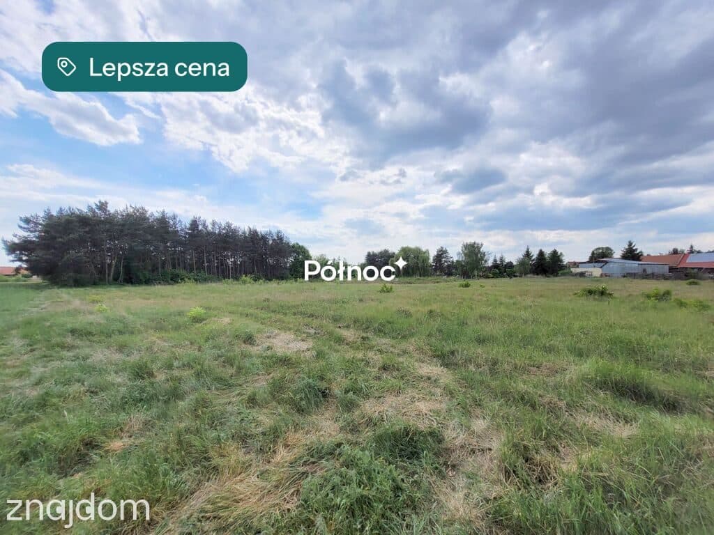 Działka budowlana 6045 m2 / Chrząstawa Mała - zdjęcie 10