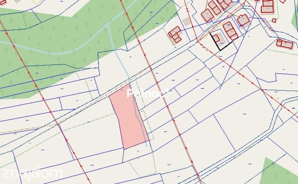 Zalesiona działka z dojazdem - zdjęcie 6
