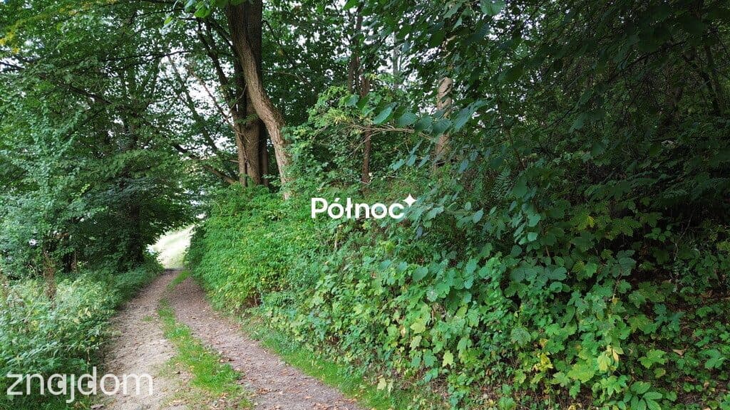 Zalesiona działka z dojazdem - zdjęcie 3