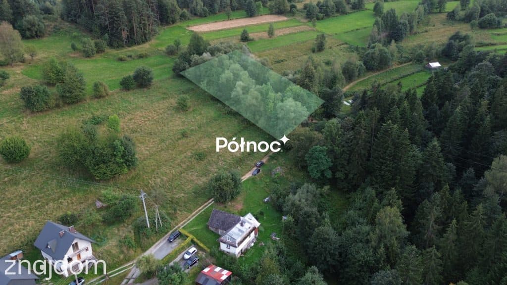 Zalesiona działka z dojazdem