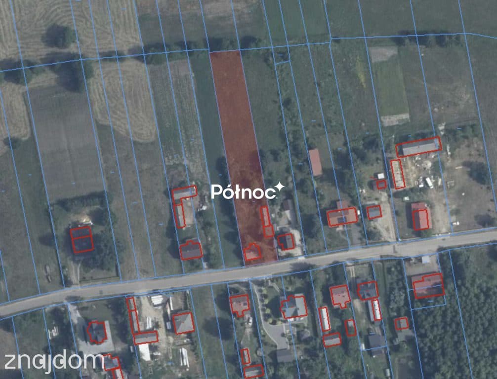 Działka budowlana 2392 m² | Stare Budy - zdjęcie 6