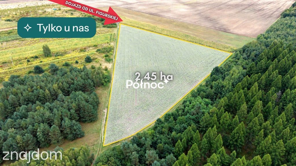 Działka rolna 2,45ha z uprawą kukurydzy | gm Janów