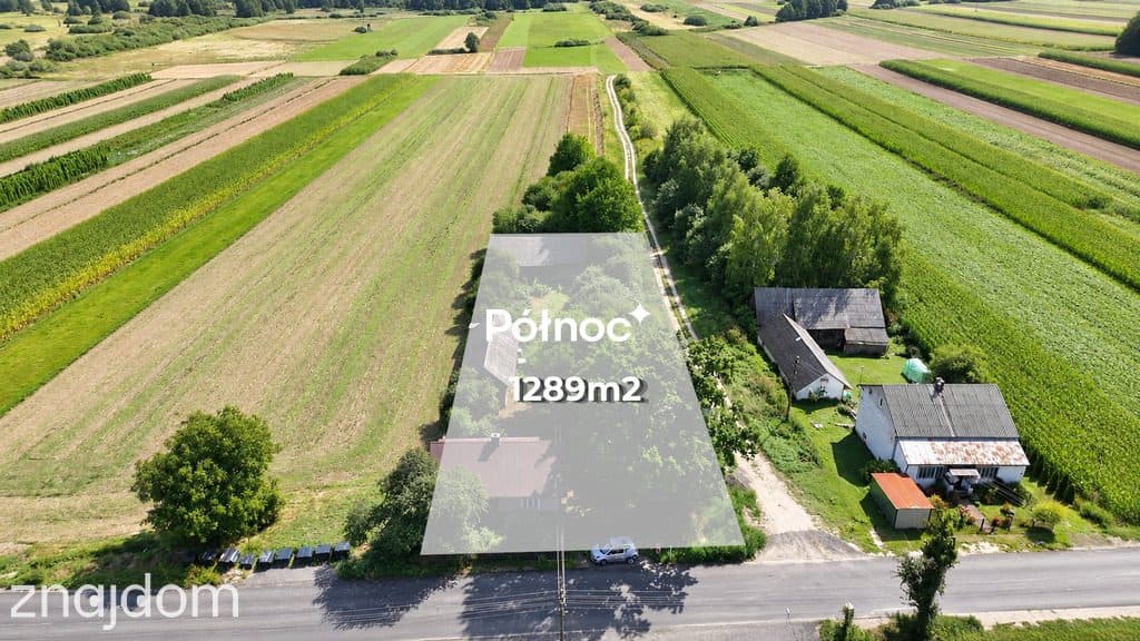 Siedlisko + 20 działek, ponad 8 ha – Kawęczyn - zdjęcie 4