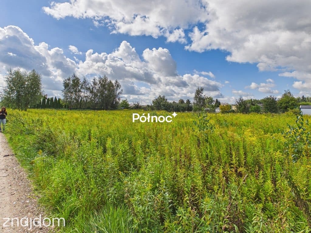 2600m² | 2 działki z WZ | Lipno | media - zdjęcie 4