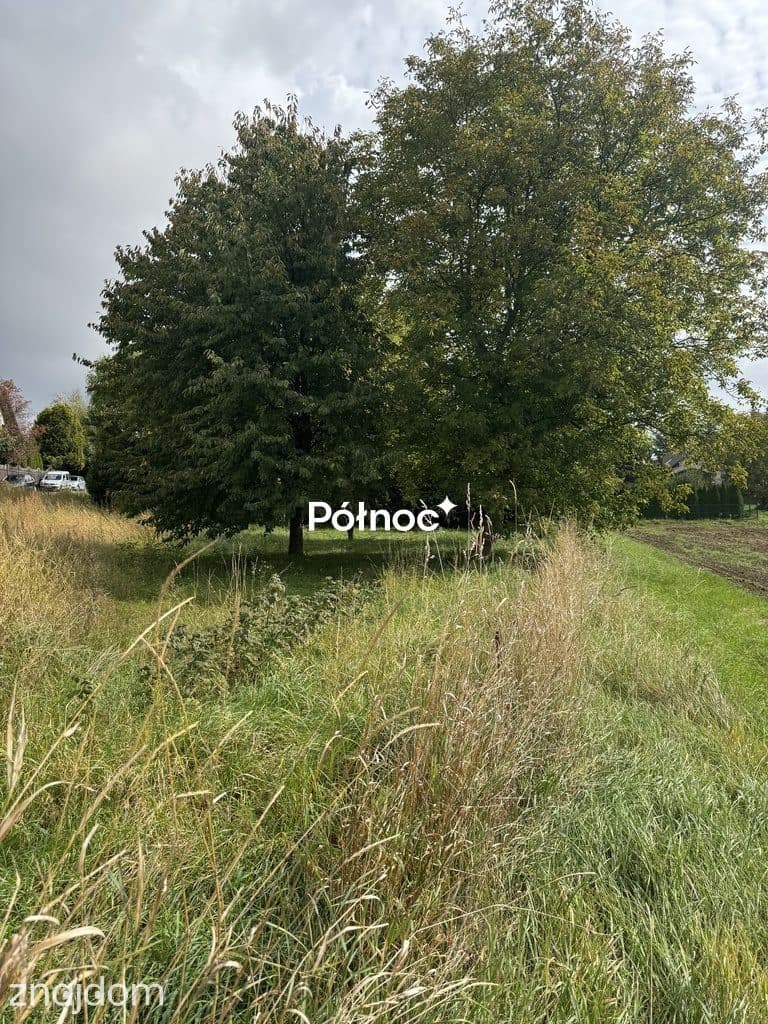 Działka  budowlana w Pękowicach - zdjęcie 2