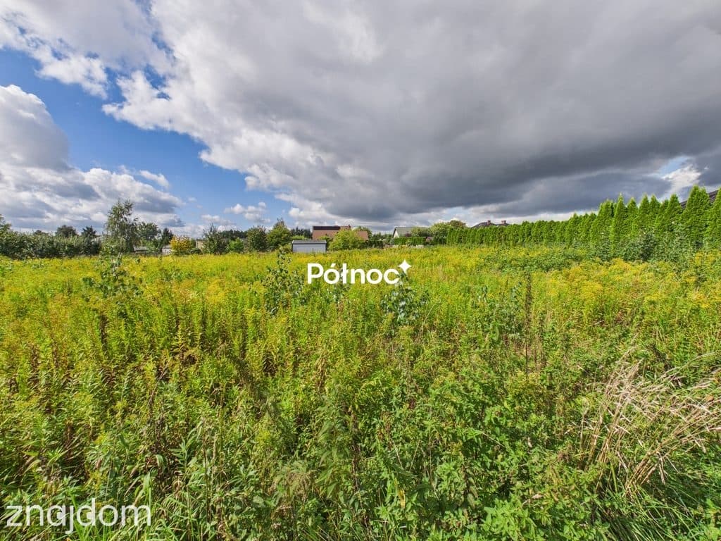 2600m² | 2 działki z WZ | Lipno | media - zdjęcie 7