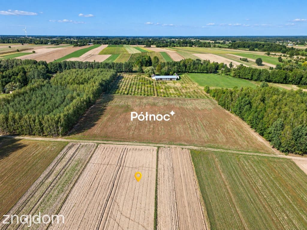 Zadbana działka rolna 2,93 ha – Kamionka - zdjęcie 6