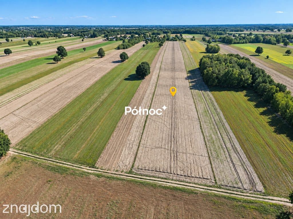 Zadbana działka rolna 2,93 ha – Kamionka - zdjęcie 5