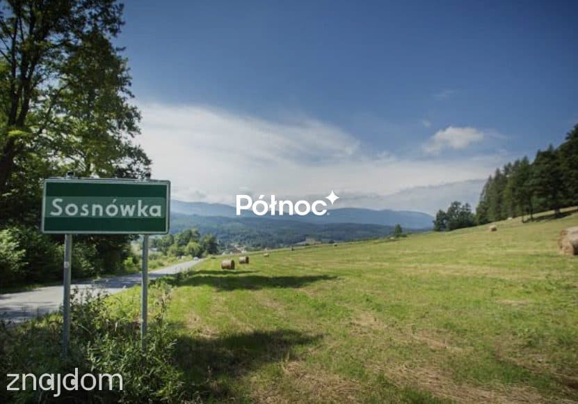 7 - Działek z WZ Czerwona Dolina Sosnówka. - zdjęcie 3