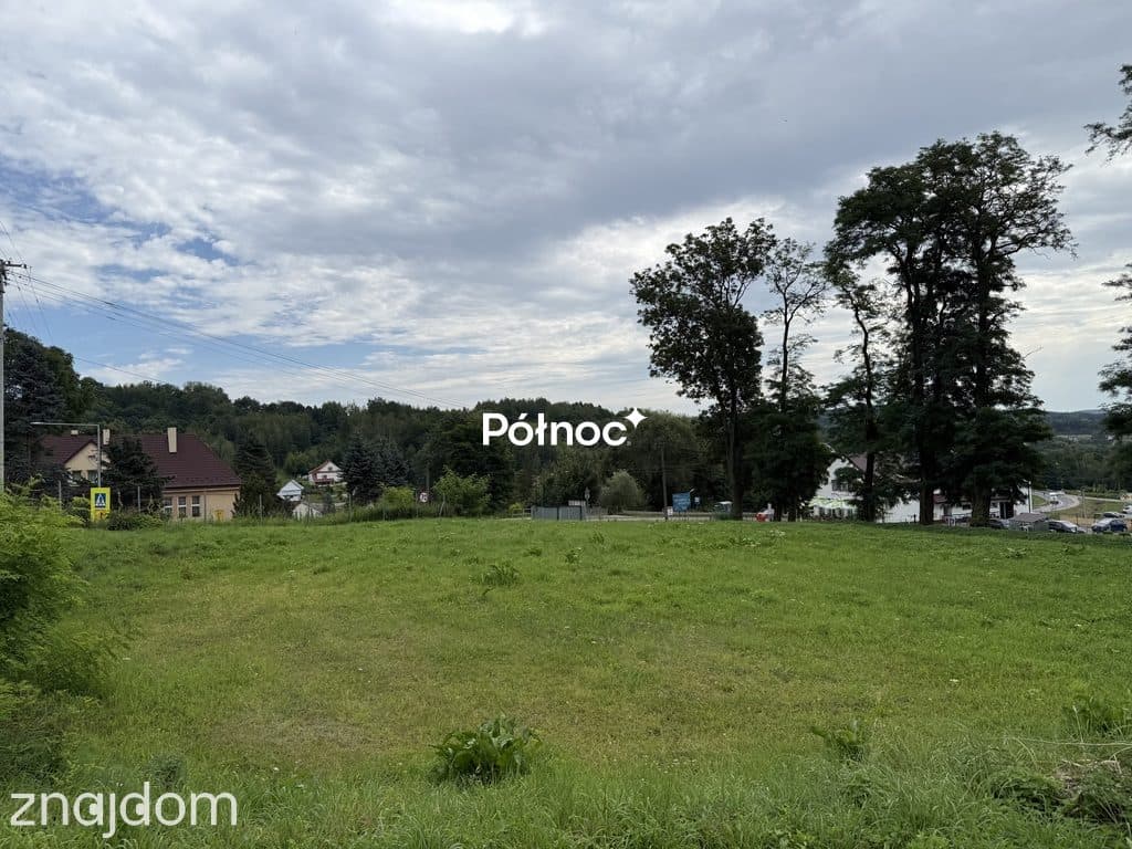 58 arów przy DW 977 | Działka inwestycyjna | Tuchów - zdjęcie 3