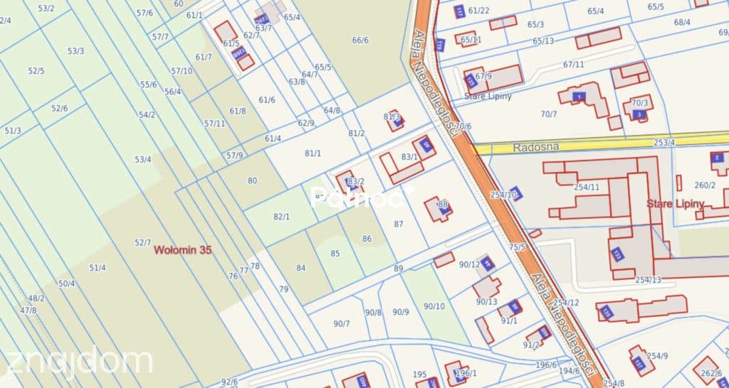 Dom czy usługi? 887 m² w Wołominie | Bez prowizji - zdjęcie 2