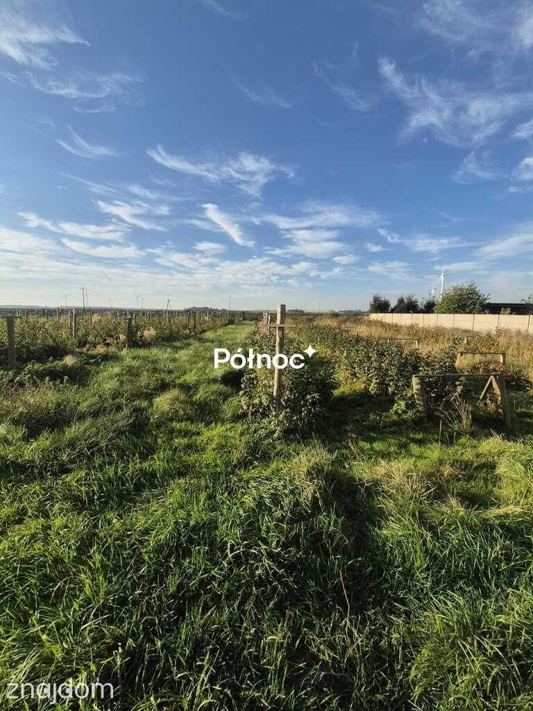 Dom na wsi - TACZALIN, gmina Legnickie Pole - zdjęcie 3