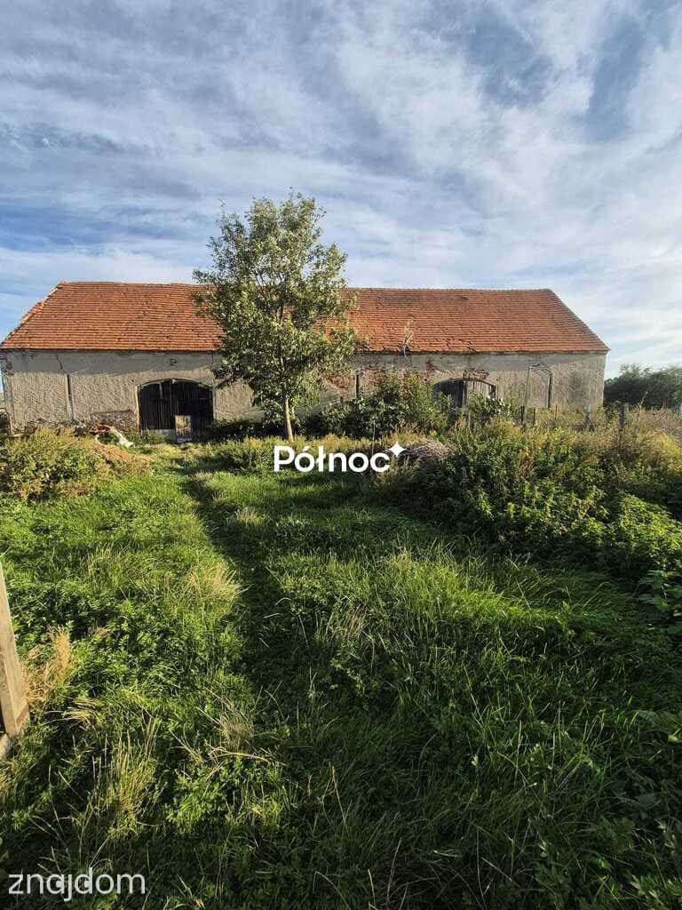 Dom na wsi - TACZALIN, gmina Legnickie Pole - zdjęcie 11