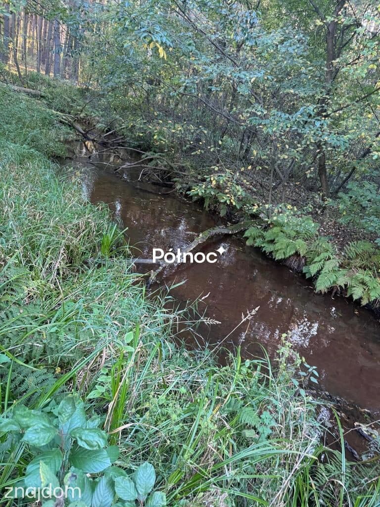 Działka 906 m² ze stawem | Młynek Nieświński | 62 000 zł - zdjęcie 7