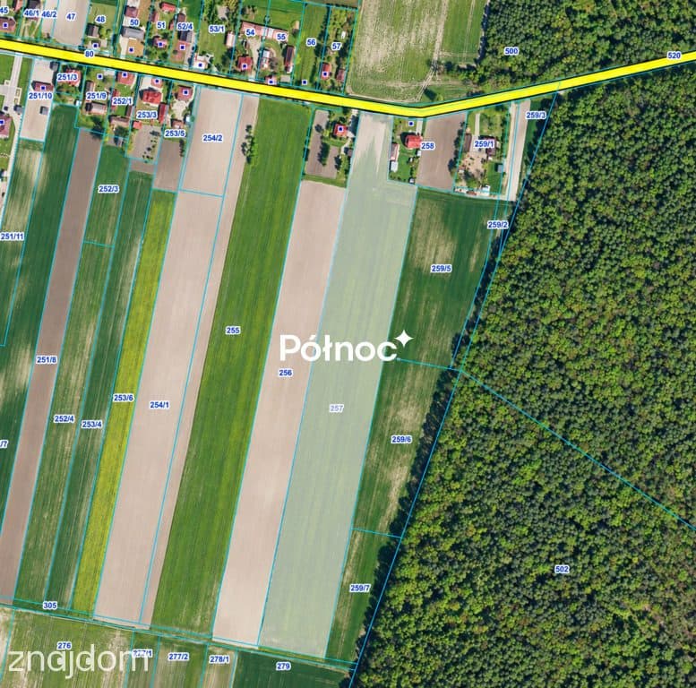 Duża działka 3,3 ha z częścią pod zabudowę – Depułtycze Królewskie - zdjęcie 2